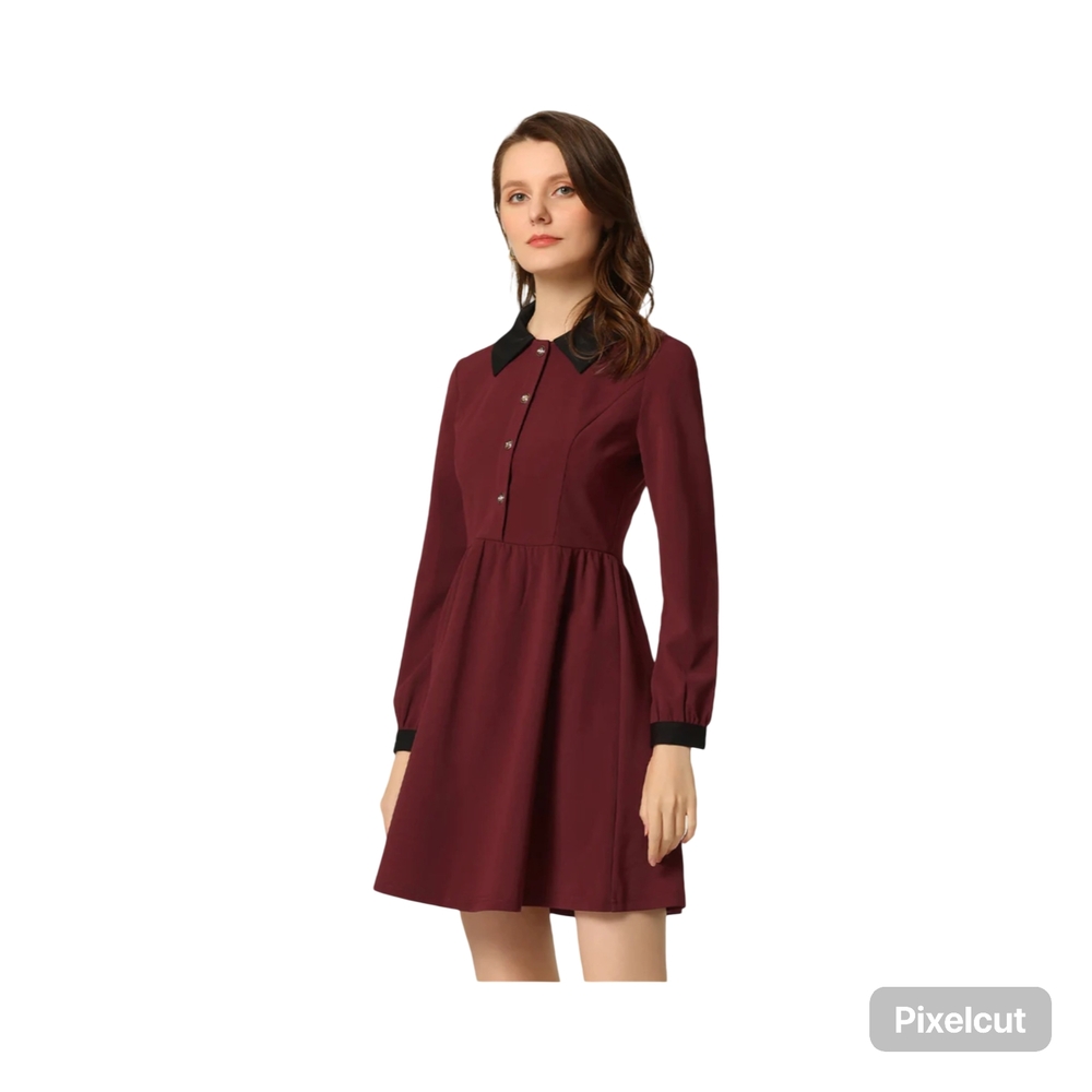 NWOT Allegra K Burgandy Long Sleeve Peter Pan Collar Dress